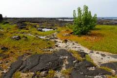 Hawaii - 017